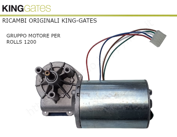 Motore di ricambio ROLLS 1200 di KINGgates