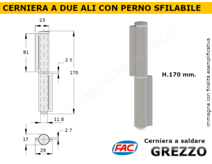Cerniera in ferro a 2 ali L.170 con perno sfilabile